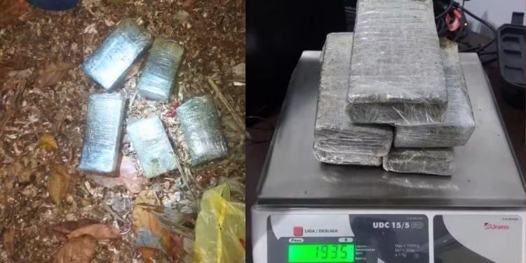 Galinhas "denunciam" esconderijo de drogas em Linhares - Foto: PMES