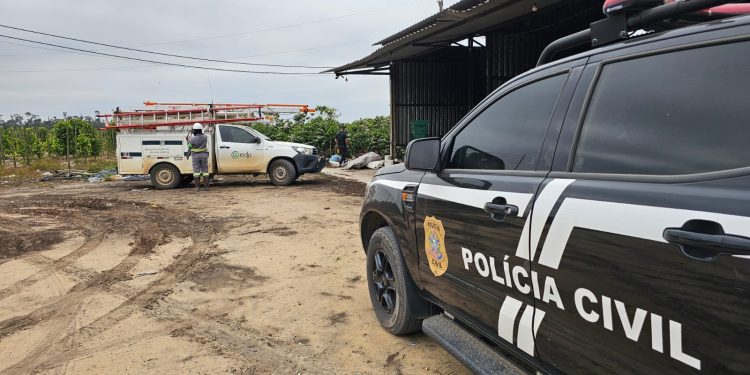 Operação flagra furto de energia elétrica em propriedade rural no Noroeste do ES - Foto: EDP/Divulgação