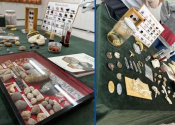 Escola de Colatina realiza exposição interativa sobre Paleontologia e Antropologia - Foto: Sedu