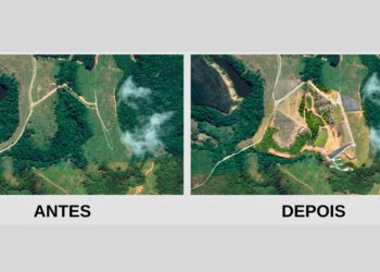 Condomínio de luxo no ES destrói 47.800m² da Mata Atlântica e é multado em R$212 mil - Foto: Idaf