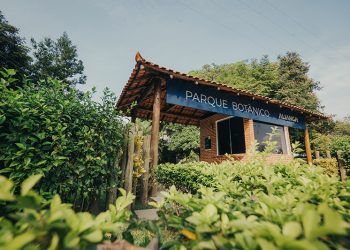 Parque Botânico Aliança Energia celebra a Semana Nacional da Pessoa com Deficiência Intelectual e Múltipla com atividades inclusivas - Foto: Divulgação