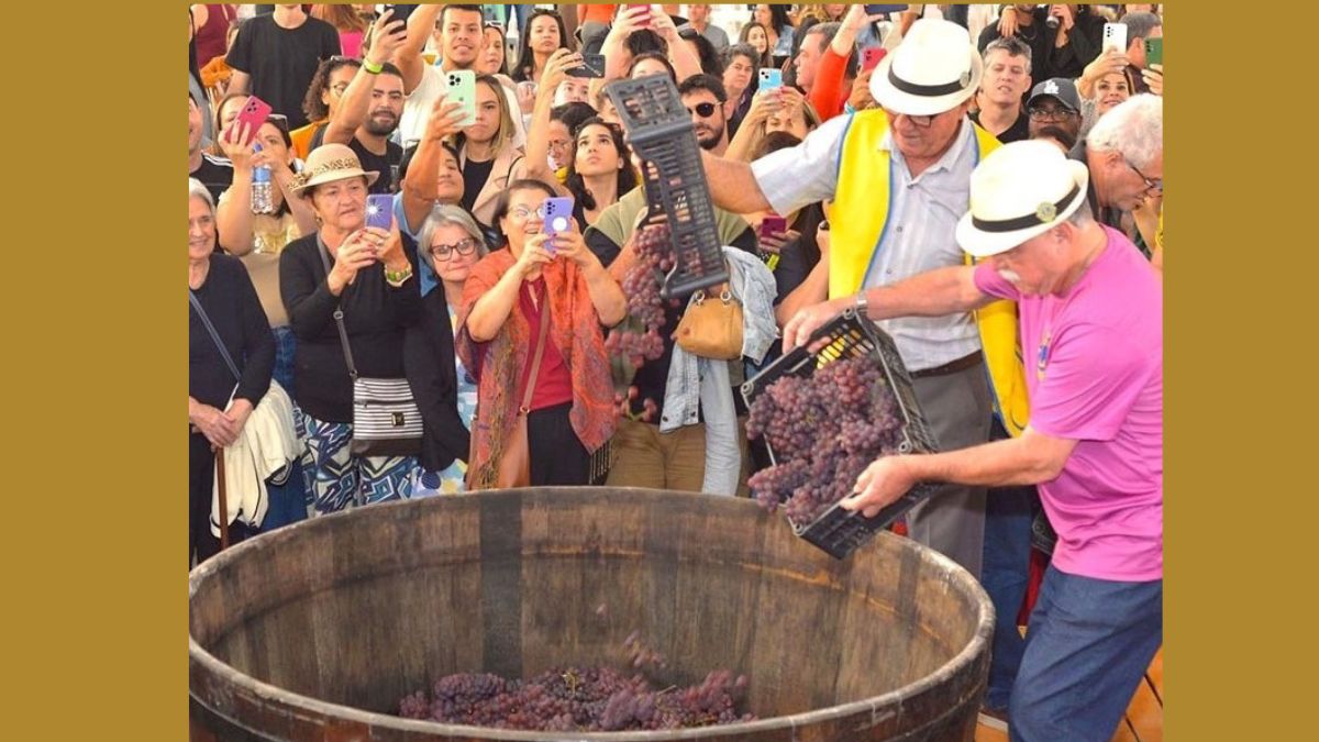 Santa Teresa lidera produção de vinhos no ES e se prepara para a 25ª Festa do Vinho e da Uva - Foto: Divulgação