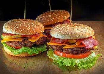 FEST BURGER 2024: O maior festival de hambúrguer de Colatina! - Foto: Pixabay