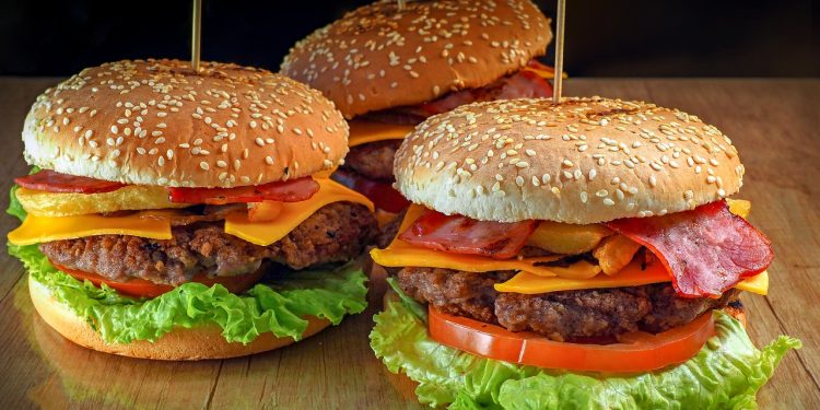 FEST BURGER 2024: O maior festival de hambúrguer de Colatina! - Foto: Pixabay