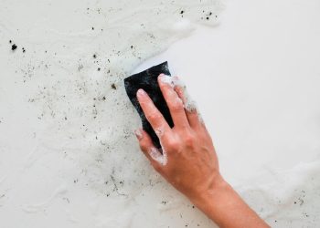 Os perigos invisíveis: Riscos para a saúde causados pelo mofo em casa - Imagem: Freepik