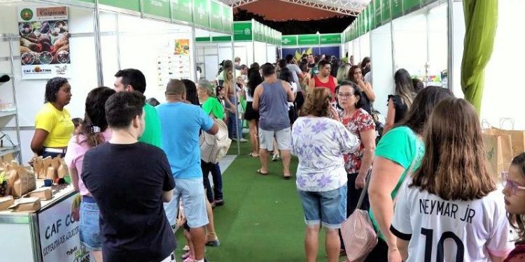 Inscrição para expositores na Expocol termina dia 14/09 - Foto: Reprodução