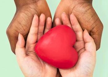 No dia Nacional da Doação de Órgãos, Cartórios de Notas do Espírito Santo totalizam mais de 200 AEDOs - Foto: Reprodução