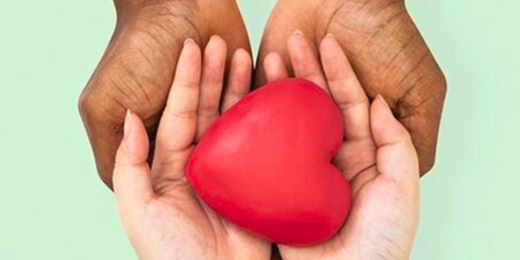 No dia Nacional da Doação de Órgãos, Cartórios de Notas do Espírito Santo totalizam mais de 200 AEDOs - Foto: Reprodução