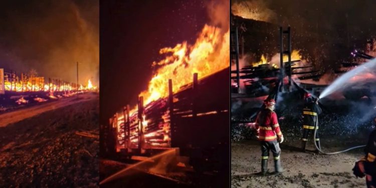 Vídeo | Trem da Vale pega fogo e viagens entre ES e MG são suspensas - Foto: Reprodução