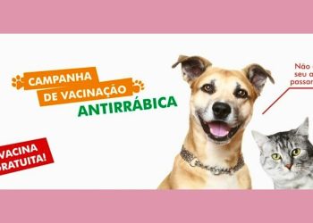 Dia D de Vacinação Antirrábica acontece em Colatina neste sábado