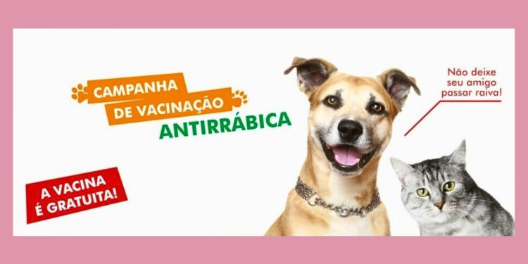 Dia D de Vacinação Antirrábica acontece em Colatina neste sábado