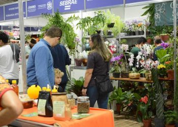 Expocol e FestCol: Um fim de semana repleto de música, cultura e negócios em Colatina - Foto: Comunicação PMC