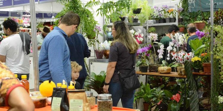 Expocol e FestCol: Um fim de semana repleto de música, cultura e negócios em Colatina - Foto: Comunicação PMC