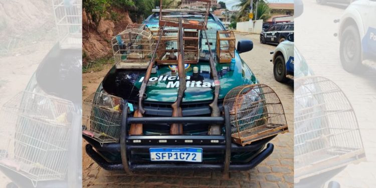 Polícia Ambiental apreende armas e aves silvestres em Barra de São Francisco - Foto: Polícia Ambiental/Divulgação