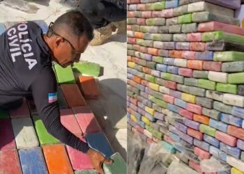 Mais de 500 quilos de cocaína pura são apreendidos em bunker em Vila Velha - Foto: PCES