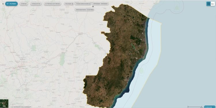 ES não registra desmatamento e queimadas ilegais nos últimos 12 dias, aponta sistema - Foto: Seama