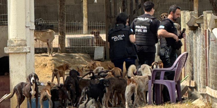 PC prende mulher por maus-tratos a 26 cães em ONG de Aracruz - Foto: PCES