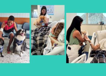 Cães ‘Doutores de Pata’ emocionam pacientes no Hospital São Lucas com doses de amor e carinho - Foto: Sesa