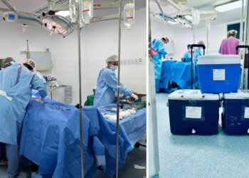 Captação de órgãos no Silvio Avidos: Esperança para quem aguarda na fila de transplante - Foto: Sessa