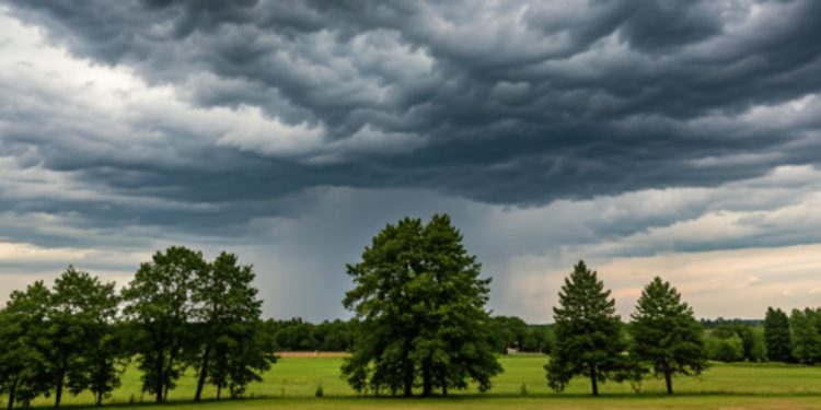 Como fica o tempo no ES e Colatina nesta terça-feira (05) - Foto: Reprodução