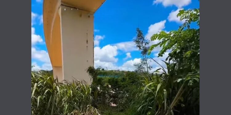 Corpo é encontrado embaixo da Segunda Ponte de Colatina - Foto: Rede Social