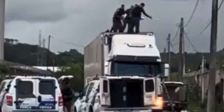 PM apreende quase 3 toneladas de maconha na Serra - Foto: Reprodução