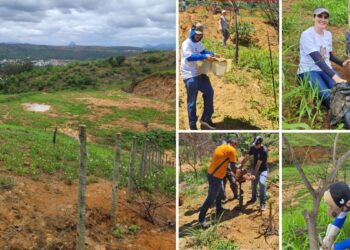 Colatina ganha novo espaço para preservação ambiental e inclusão social - Foto: Reprodução