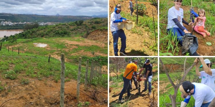Colatina ganha novo espaço para preservação ambiental e inclusão social - Foto: Reprodução