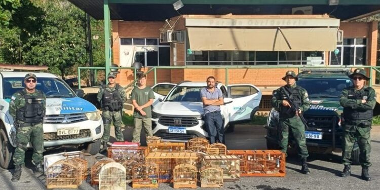 Iema realiza operação em seis cativeiros ilegais no ES - Foto: IEMA