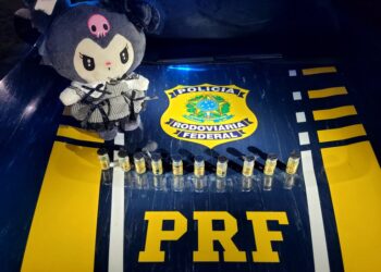 PRF apreende anabolizantes escondidos em urso de pelúcia em Baixo Guandu - Foto: PRF