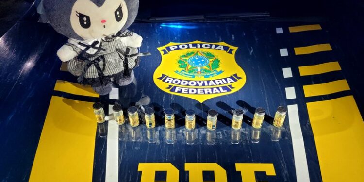 PRF apreende anabolizantes escondidos em urso de pelúcia em Baixo Guandu - Foto: PRF