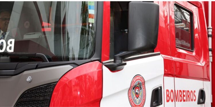 Enxame de abelhas causa acidente e leva vítimas a buscar abrigo em rio no Noroeste do ES - Foto: Reprodução