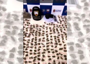 Polícia apreende drogas após denúncia anônima em Colatina - Foto: PMES