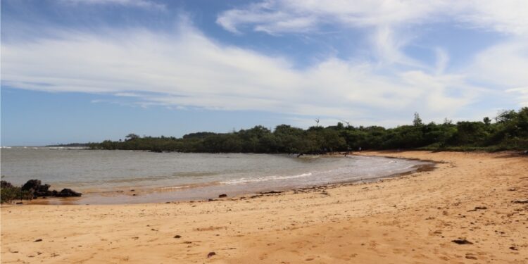 Verão 2025: estruturas renovadas e novidades nas praias do Espírito Santo - Foto: Reprodução