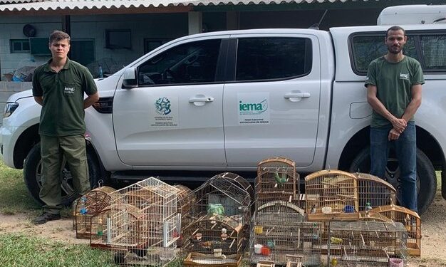 IEMA apreende 49 aves em cativeiro ilegal em Aracruz - Foto: Iema