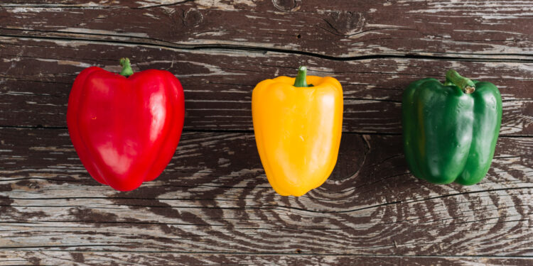 Qual a diferença entre os pimentões verde, amarelo e vermelho? - Crédito: Freepik