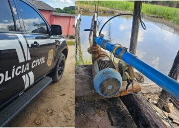 PC e EDP flagram furto de energia elétrica em propriedades rurais, no Norte do ES - Foto: Divulgação/ EDP