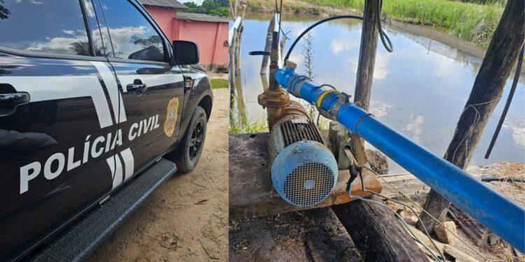PC e EDP flagram furto de energia elétrica em propriedades rurais, no Norte do ES - Foto: Divulgação/ EDP