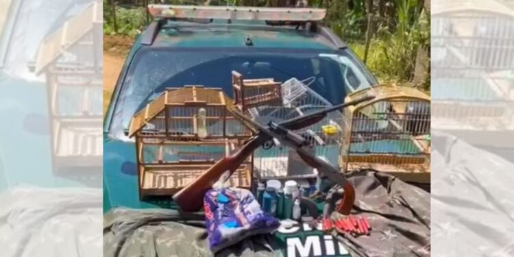 Caçador é preso em flagrante com armas e animais silvestres em Alto Guandu - Foto: Reprodução