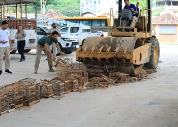 Gaiolas apreendidas em ações de fiscalização ambiental do Iema são destruídas - Foto: Iema