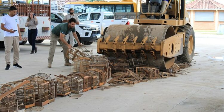 Gaiolas apreendidas em ações de fiscalização ambiental do Iema são destruídas - Foto: Iema