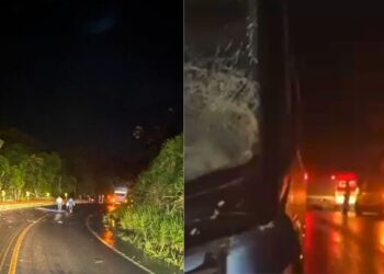 Genro e sogro morrem em acidente com ônibus na BR-259, em Colatina - Foto: Rede Social