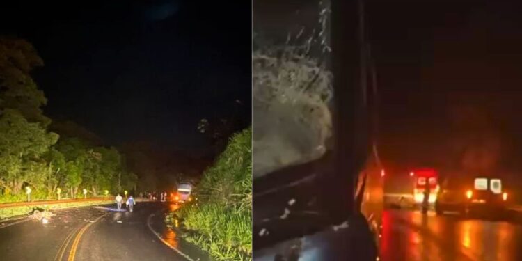 Genro e sogro morrem em acidente com ônibus na BR-259, em Colatina - Foto: Rede Social