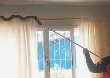 Susto em Nova Venécia: jiboia invade casa e assusta moradora - Foto: Reprodução