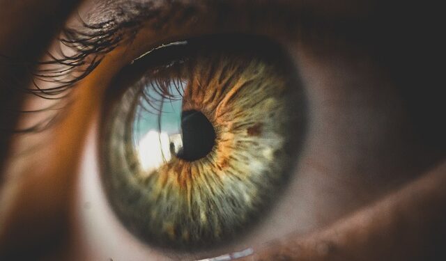 Não venda sua íris: Sua privacidade não tem preço