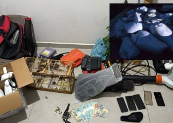 Quatro presos por roubo de 5 toneladas de pimenta em Boa Esperança - Foto: PCES