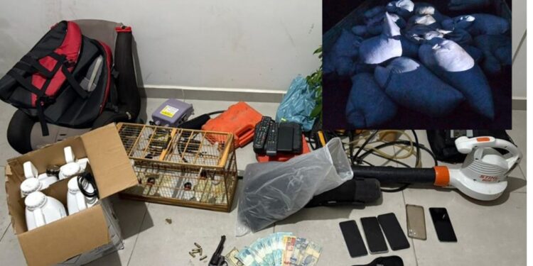 Quatro presos por roubo de 5 toneladas de pimenta em Boa Esperança - Foto: PCES