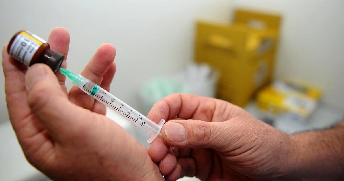 Febre Amarela e Gripe: O Alerta da Vacinação Diante do Aumento de Casos - Foto: Reprodução