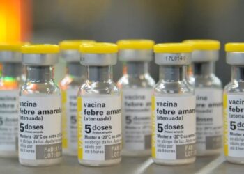 Febre Amarela e Gripe: O Alerta da Vacinação Diante do Aumento de Casos - Foto: Reprodução