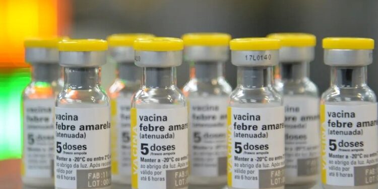Febre Amarela e Gripe: O Alerta da Vacinação Diante do Aumento de Casos - Foto: Reprodução